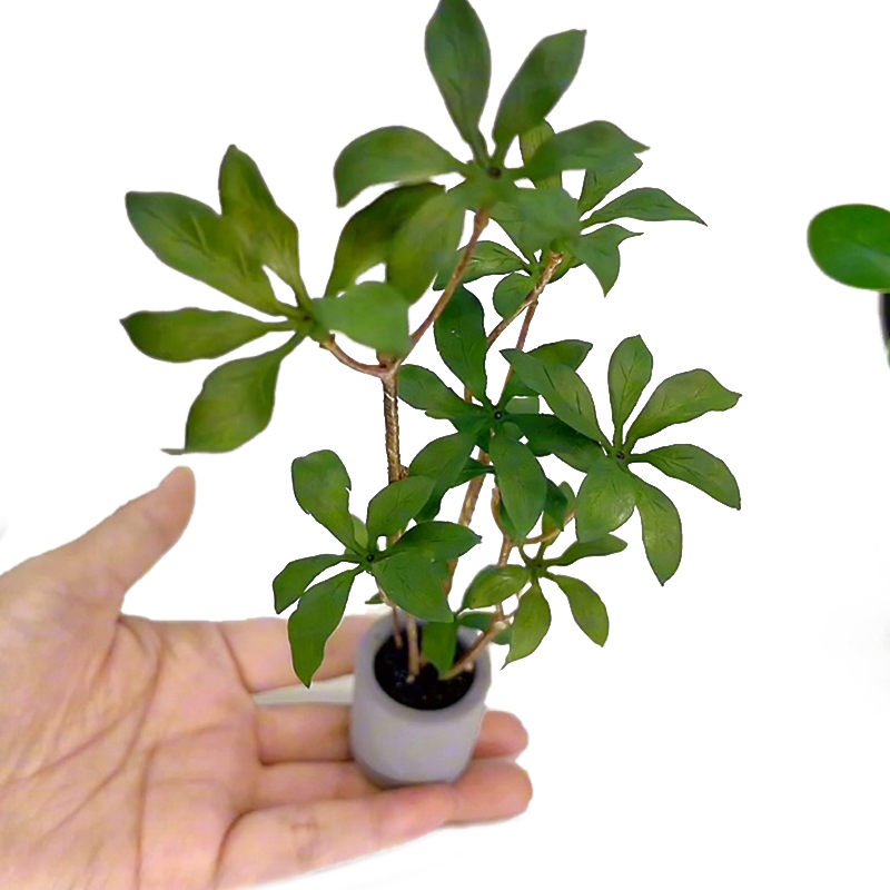 1:6 Dollhouse Miniature Potted - đánh giá và giá Bonsai Garden House