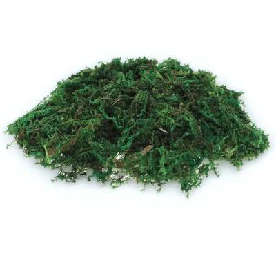 1Pack Natural-Looking Fake Mos - đánh giá và giá Bonsai Garden Indoor