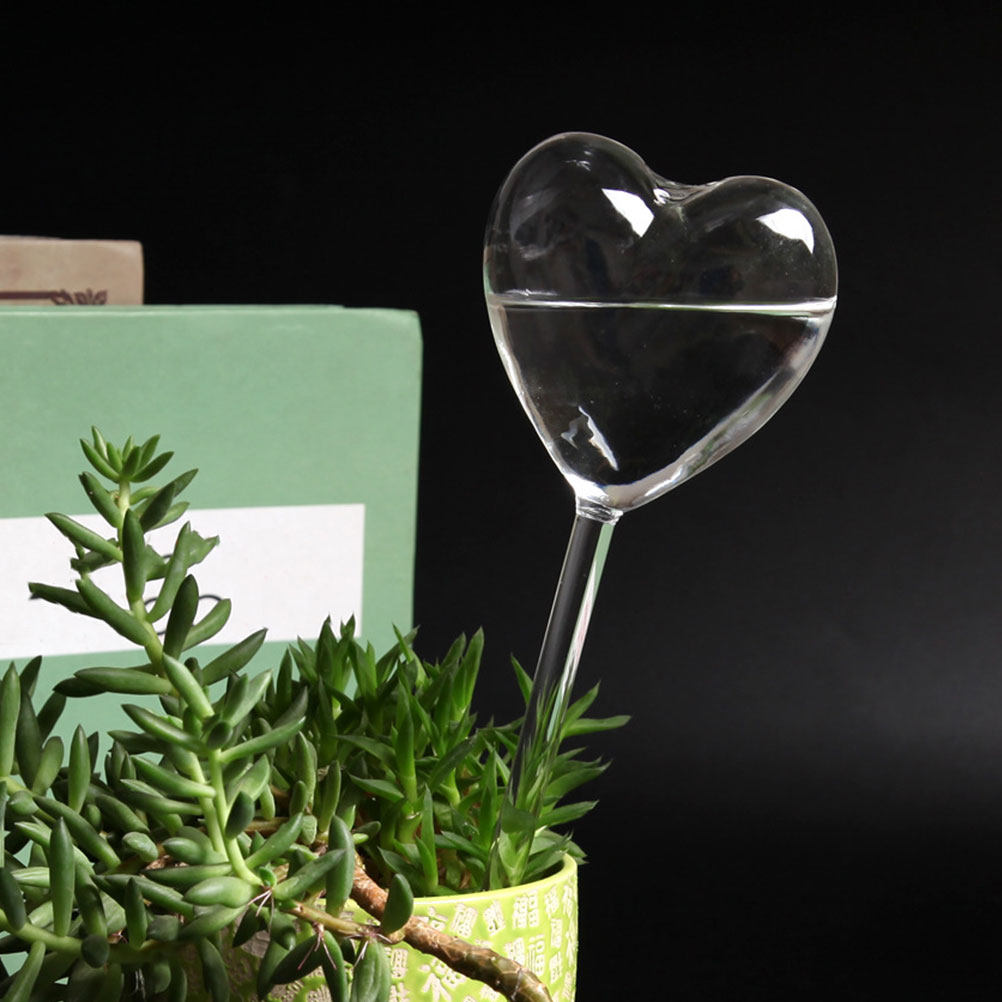 3Pcs Heart Shaped Glass Self W - đánh giá và giá Bonsai Garden Indoor