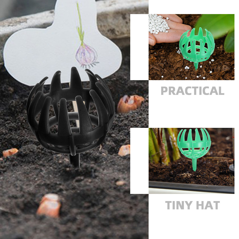 10Pcs Fertilizer Boxes Reusabl - đánh giá và giá Bonsai Gardening