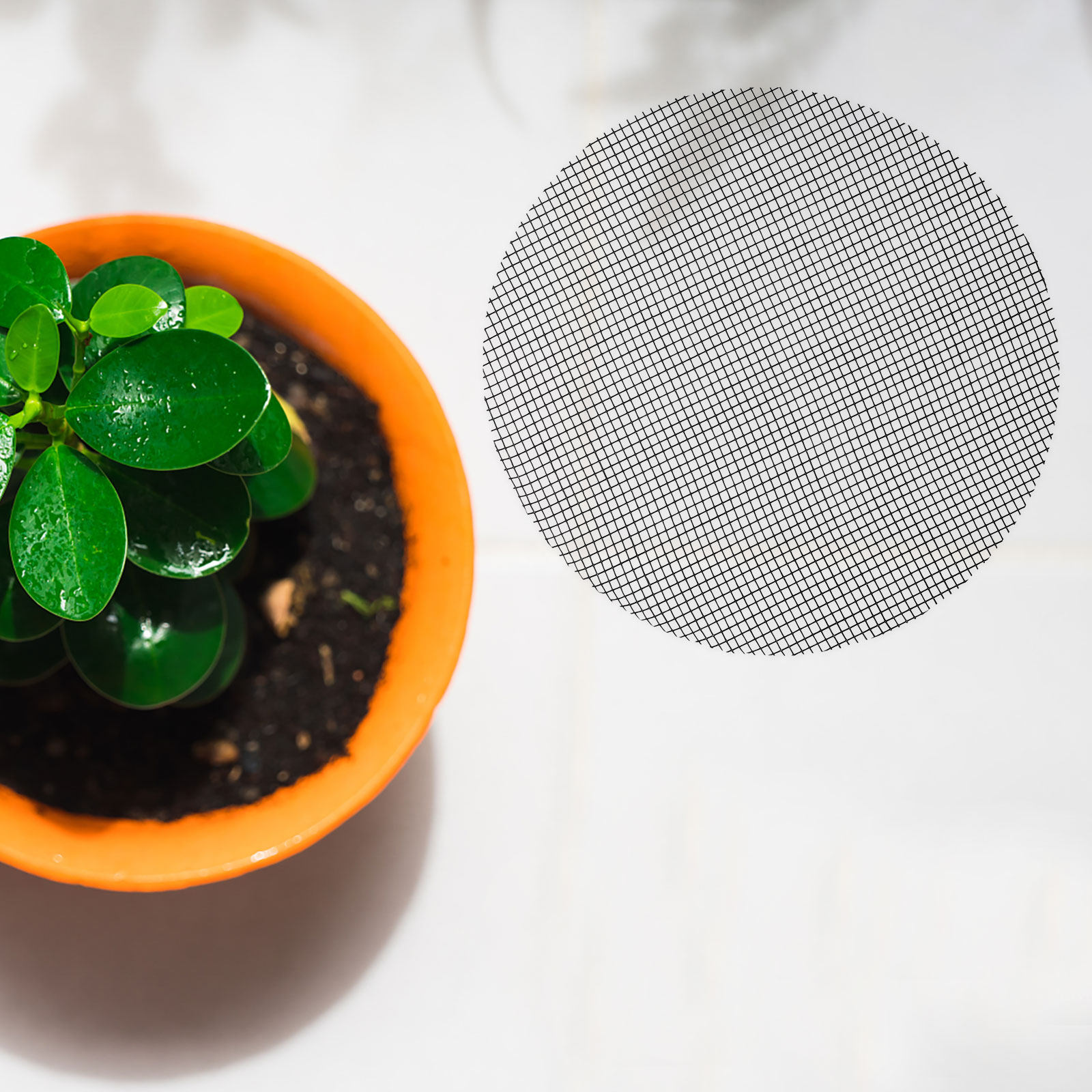 50Pcs Flower Pot Hole Mesh Pad - đánh giá và giá Bonsai Gardening