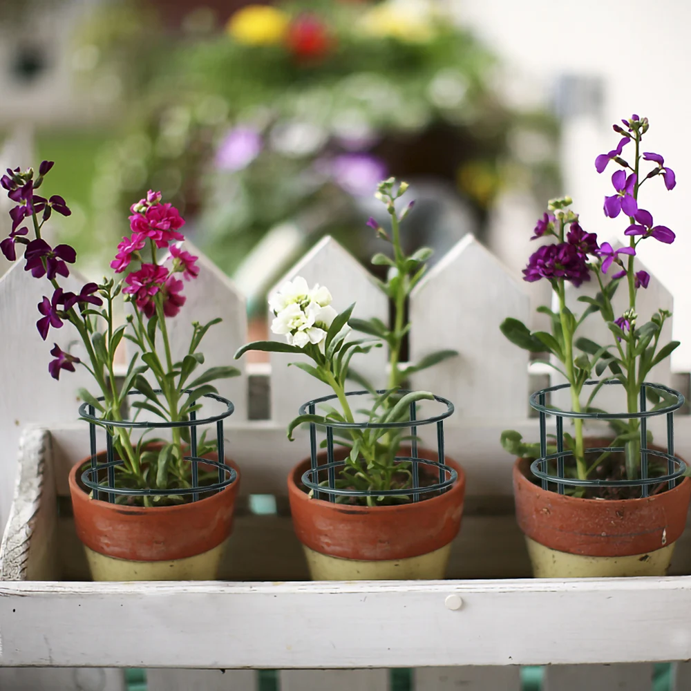 Garden Plant Support Cage Plie - đánh giá và giá Bonsai Garden House