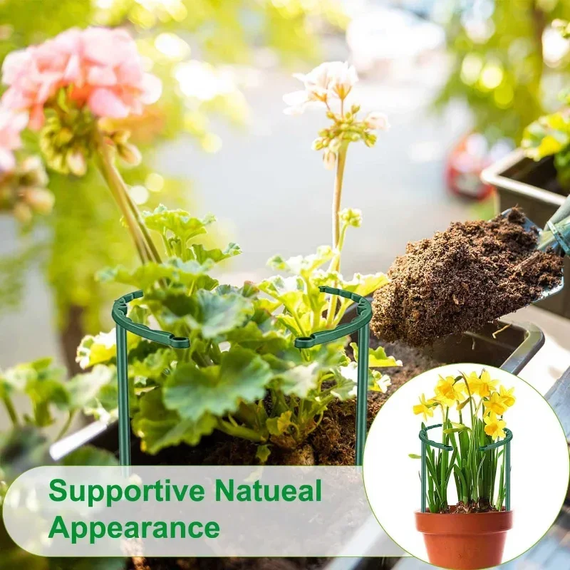 Garden Plant Support Cage Plie - đánh giá và giá Bonsai Garden House