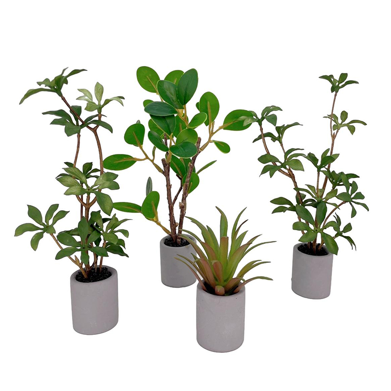 1:6 Dollhouse Miniature Potted - đánh giá và giá Bonsai Garden House