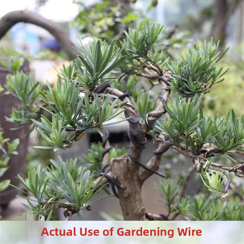 1.5MM Bonsai Wires Aluminum Bo - đánh giá và giá Bonsai Gardening