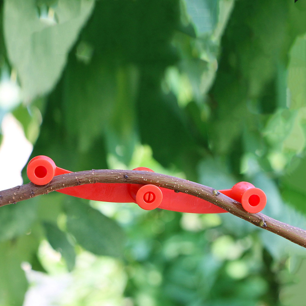 10Pcs Flexible Plant Benders A - đánh giá và giá Bonsai Gardening