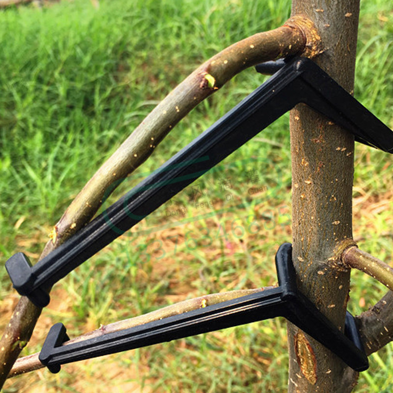 10-30 Chiếc Quả Cây Kẹp Vật Có - đánh giá và giá Bonsai Garden Tools