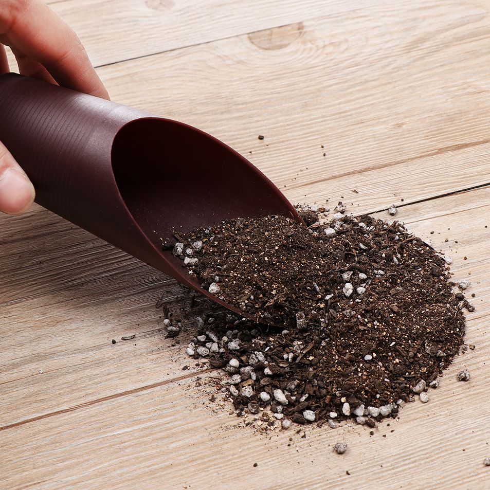1PC Plastic Soil Shovel Cup Fo - đánh giá và giá Bonsai Garden Tools